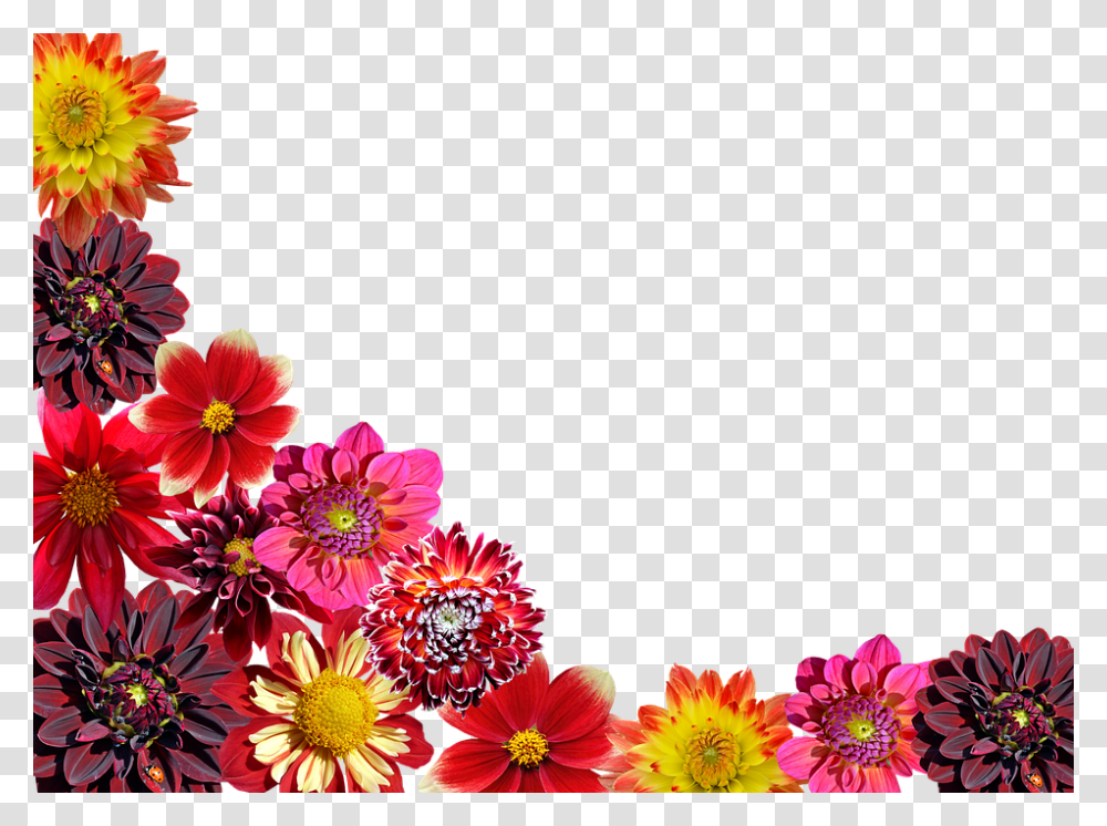 Flowers Garden, Plant, Dahlia, Blossom, Flower Bouquet Transparent Png