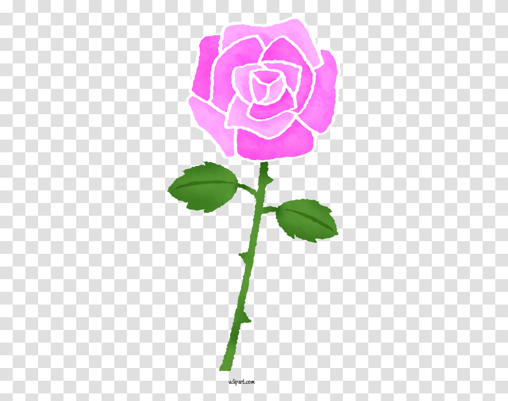 Flowers Garden Roses Drawing Color For Color Flower Drawing Hd, Plant, Blossom, Petal, Hibiscus Transparent Png