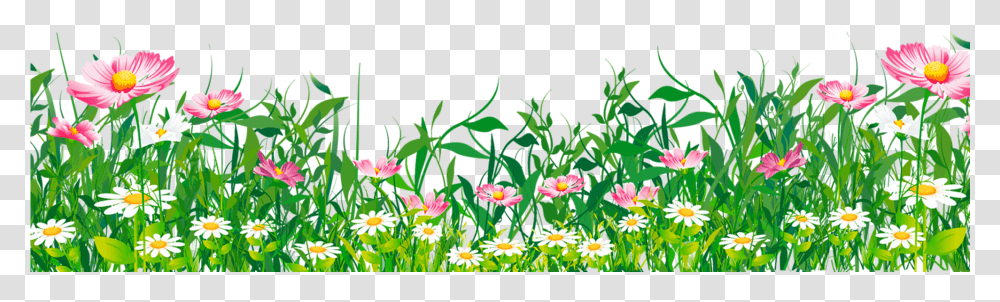 Flowers Grass Clipart Grass With Flowers, Plant, Petal, Blossom, Daisy Transparent Png