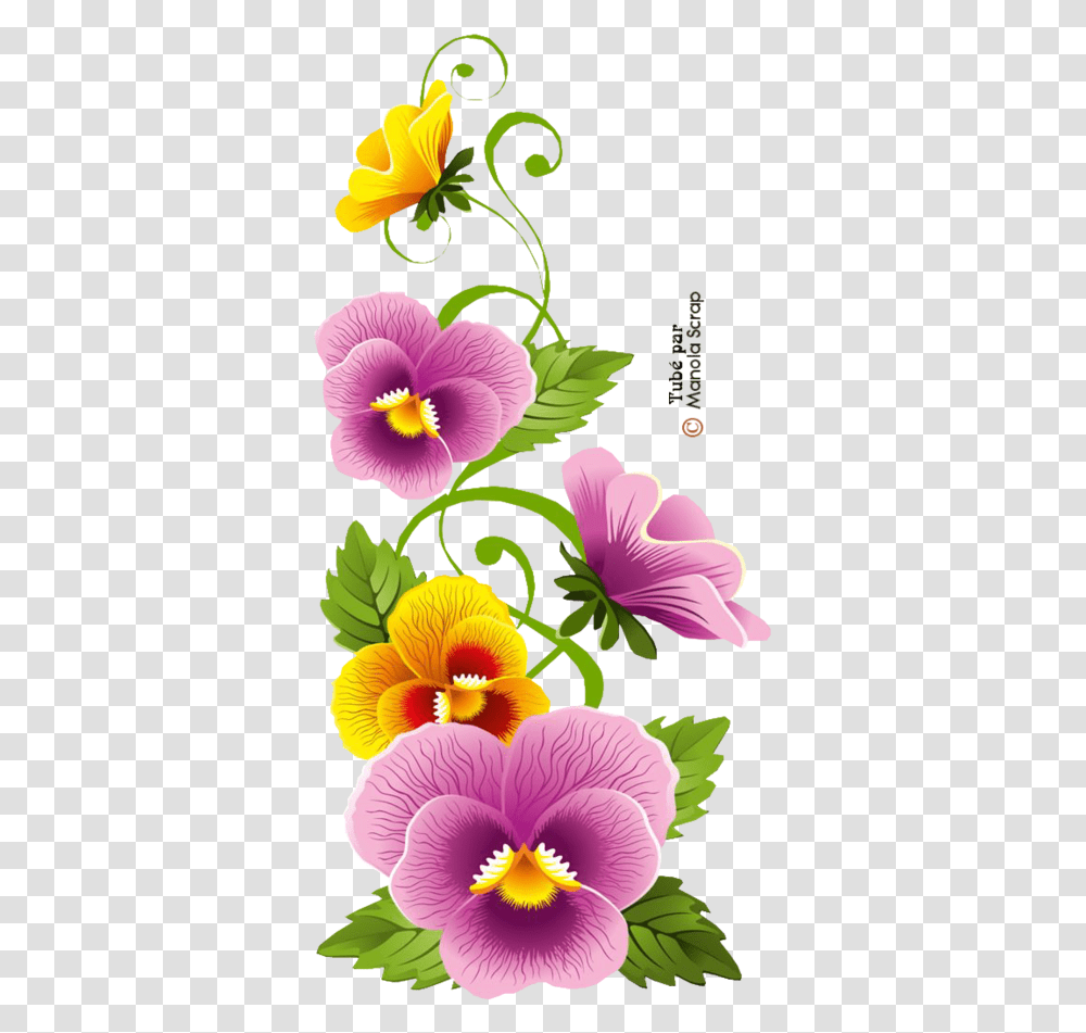 Flowers Hd Images, Plant, Blossom, Hibiscus Transparent Png