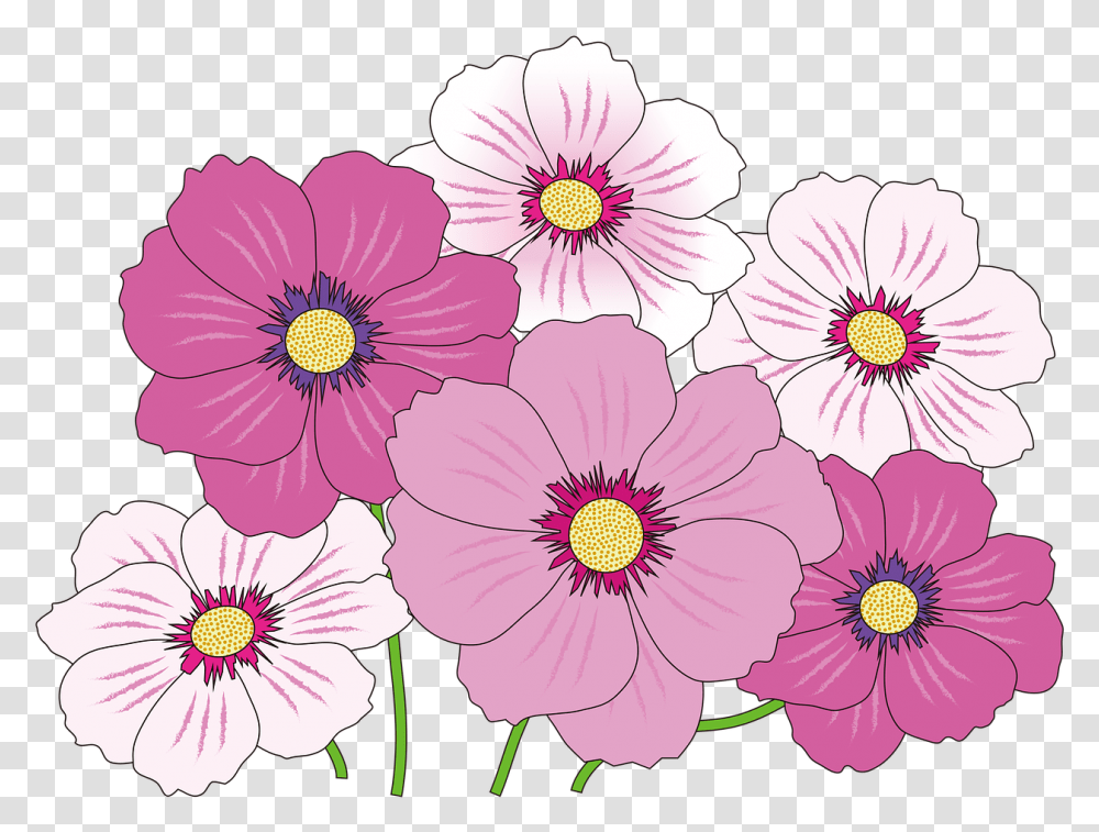 Flowers Icon Pink, Plant, Blossom, Petal, Daisy Transparent Png