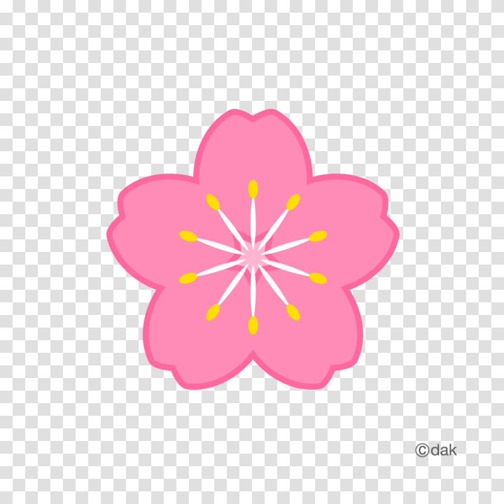 Flowers Icons, Plant, Hibiscus, Blossom, Anther Transparent Png