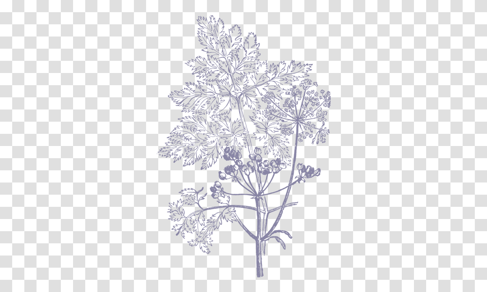 Flowers Illustration 2 Image Floral Illustration, Snowflake, Plant, Blossom, Rug Transparent Png