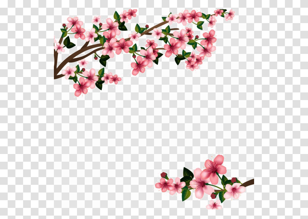 Flowers Images Free Download, Plant, Blossom, Cherry Blossom, Petal Transparent Png