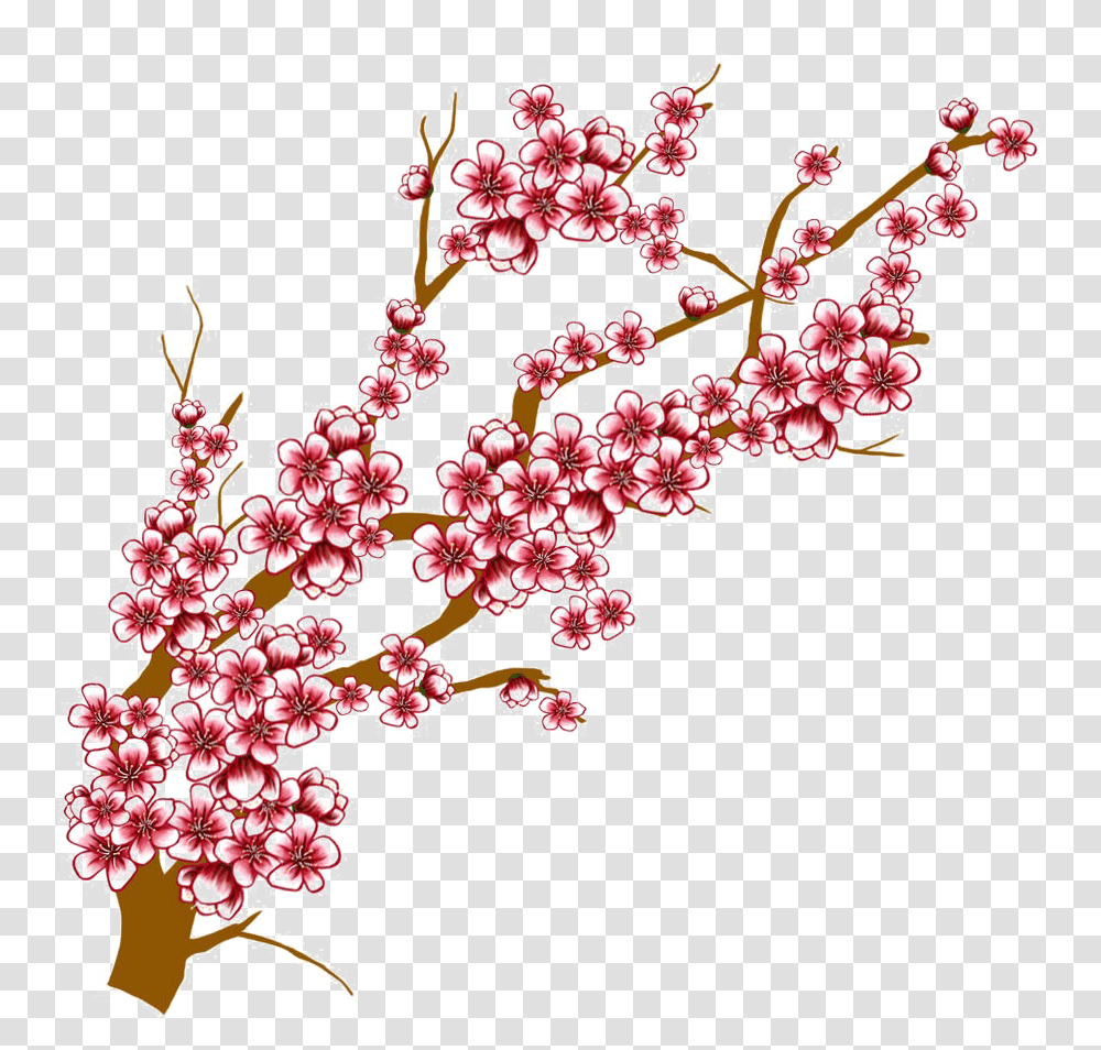 Flowers Images Free Download, Plant, Blossom, Cherry Blossom Transparent Png