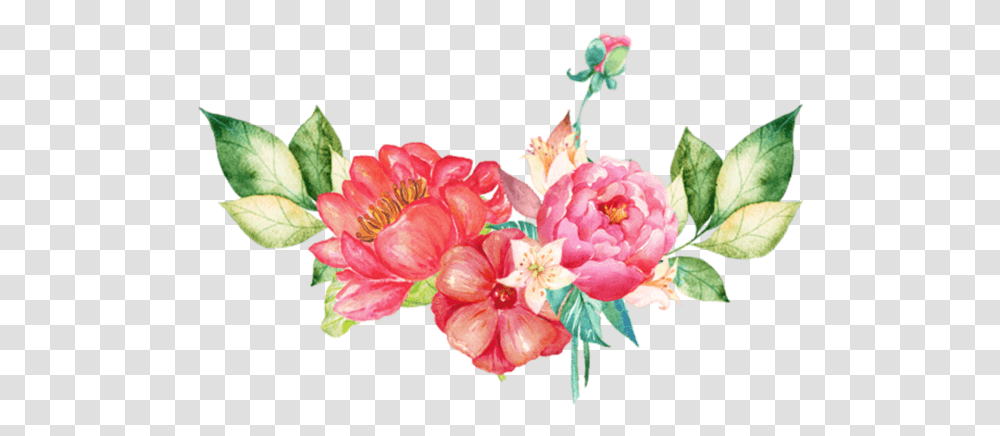 Flowers Images Free Download Searchpng Pink Floral Watercolor, Plant, Geranium, Peony, Petal Transparent Png
