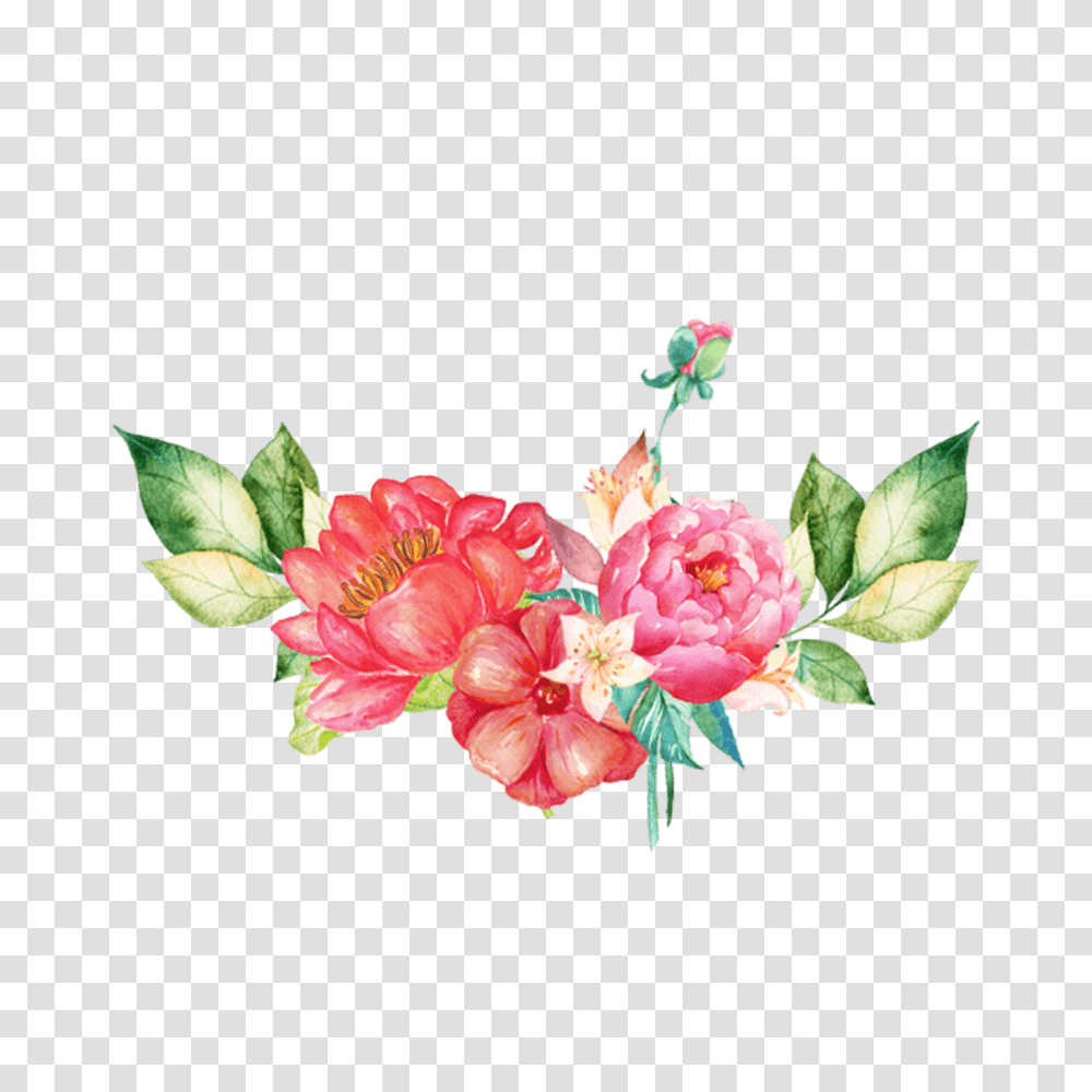 Flowers Images Free Download Searchpngcom Flower Watercolor Free, Plant, Blossom, Carnation, Hibiscus Transparent Png