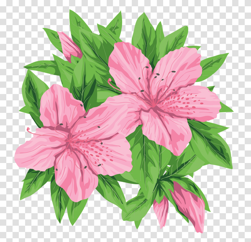 Flowers In Art Images, Plant, Blossom, Hibiscus, Geranium Transparent Png