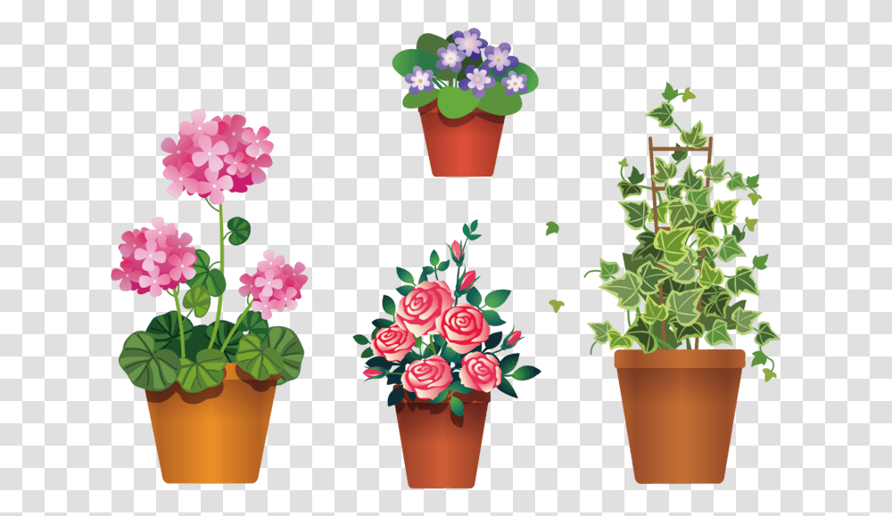 Flowers In Pot Clipart Background, Plant, Blossom, Floral Design Transparent Png