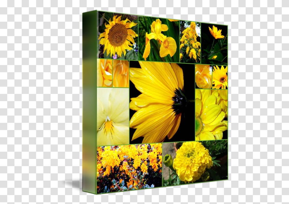 Flowers Lovely, Collage, Poster, Advertisement, Plant Transparent Png