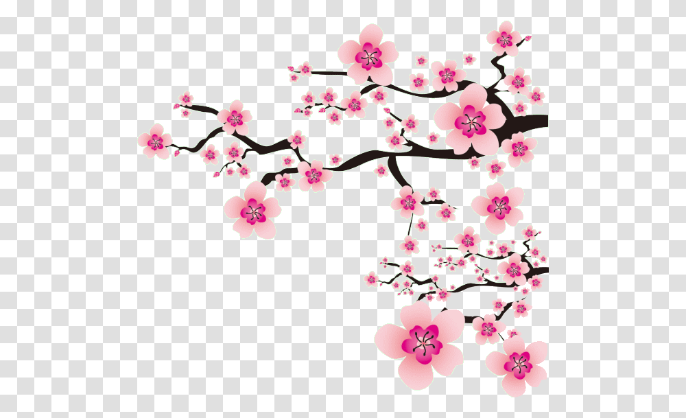 Flowers Meihua China Pink Nature Ftestickers Japanese Cherry Blossom, Plant, Floral Design Transparent Png
