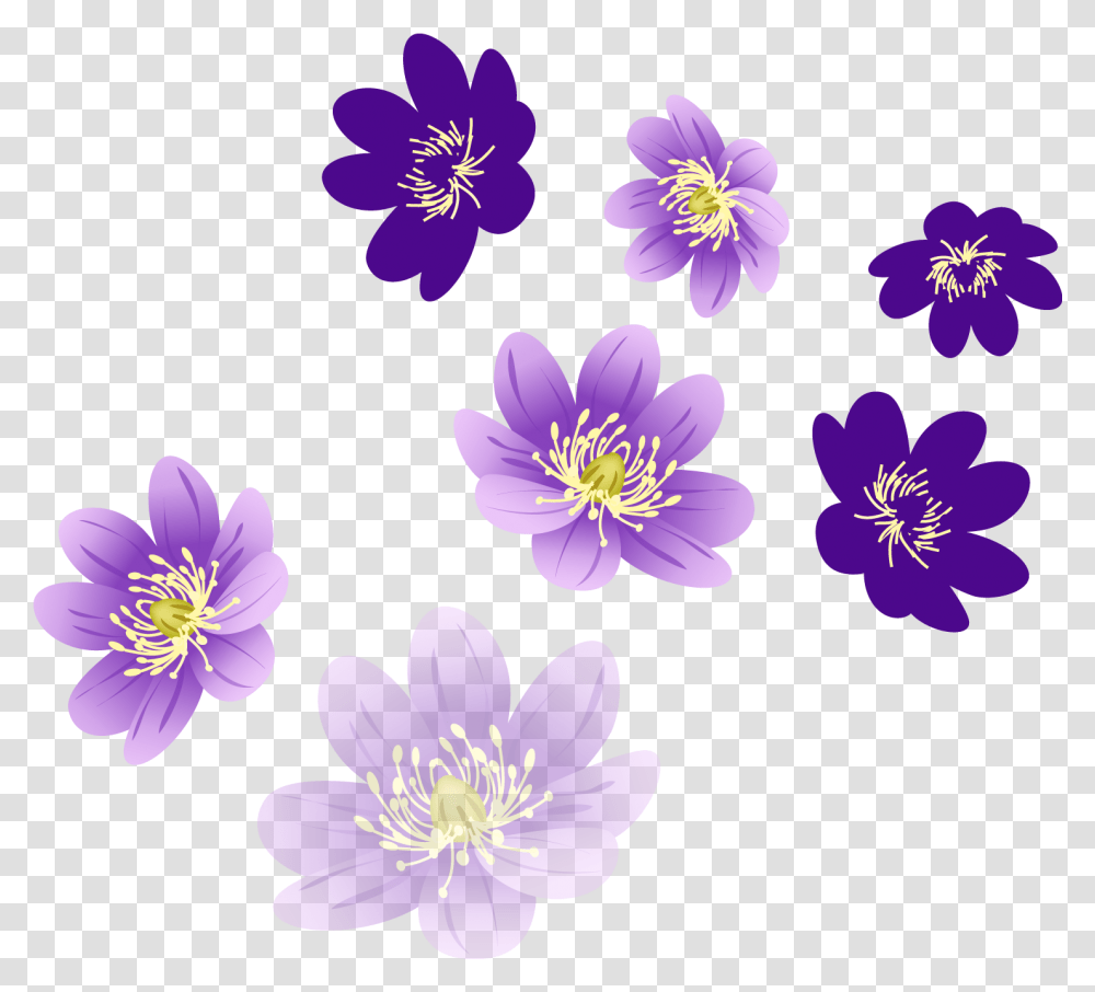 Flowers My Blog Vector Images Of Flowers, Plant, Blossom, Geranium, Petal Transparent Png