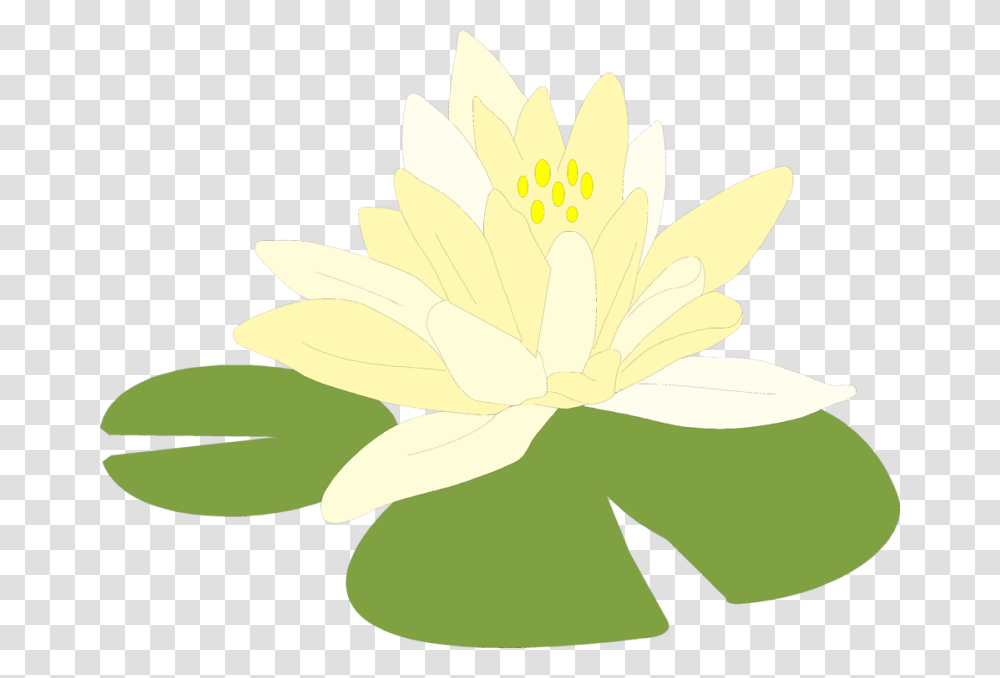 Flowers Of Lily Pads Clip Art Gardening Flower And Vegetables, Plant, Blossom, Pond Lily, Petal Transparent Png
