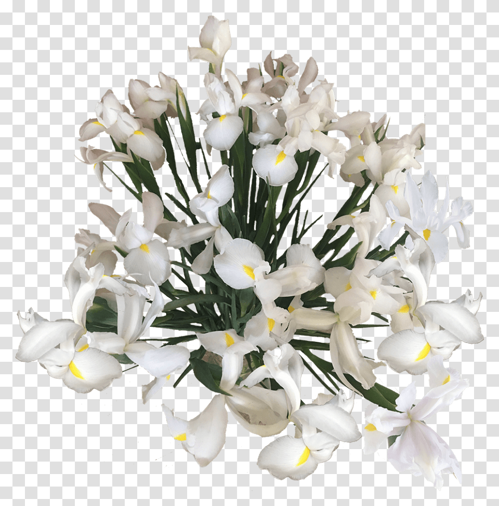 Flowers Online Blue White Wholesale Prices Bouquet, Plant, Blossom, Flower Arrangement, Flower Bouquet Transparent Png
