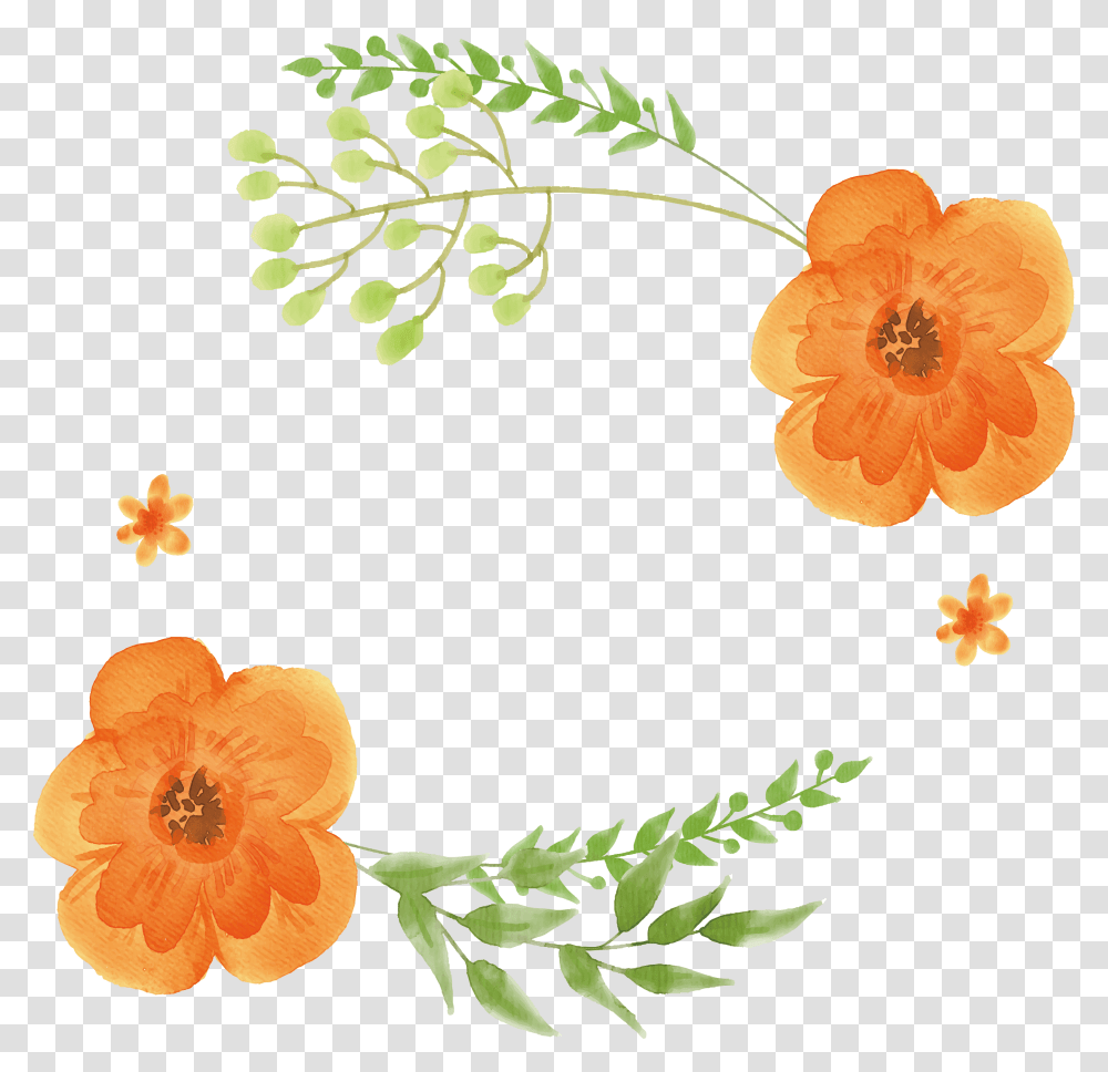 Flowers Orange Painting Flower Orange Watercolor Flowers, Plant, Floral Design Transparent Png