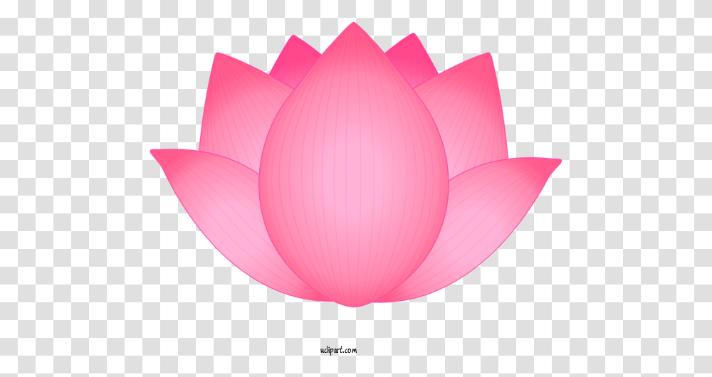 Flowers Petal Lotus Family Pink For Language, Plant, Dahlia, Lamp, Pond Lily Transparent Png
