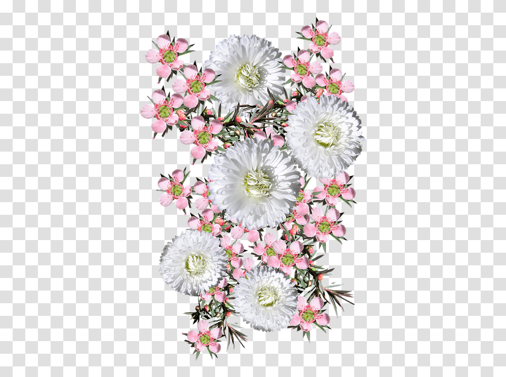 Flowers Pink Tea Tree White Free Photo On Pixabay Tea Plant, Graphics, Art, Floral Design, Pattern Transparent Png