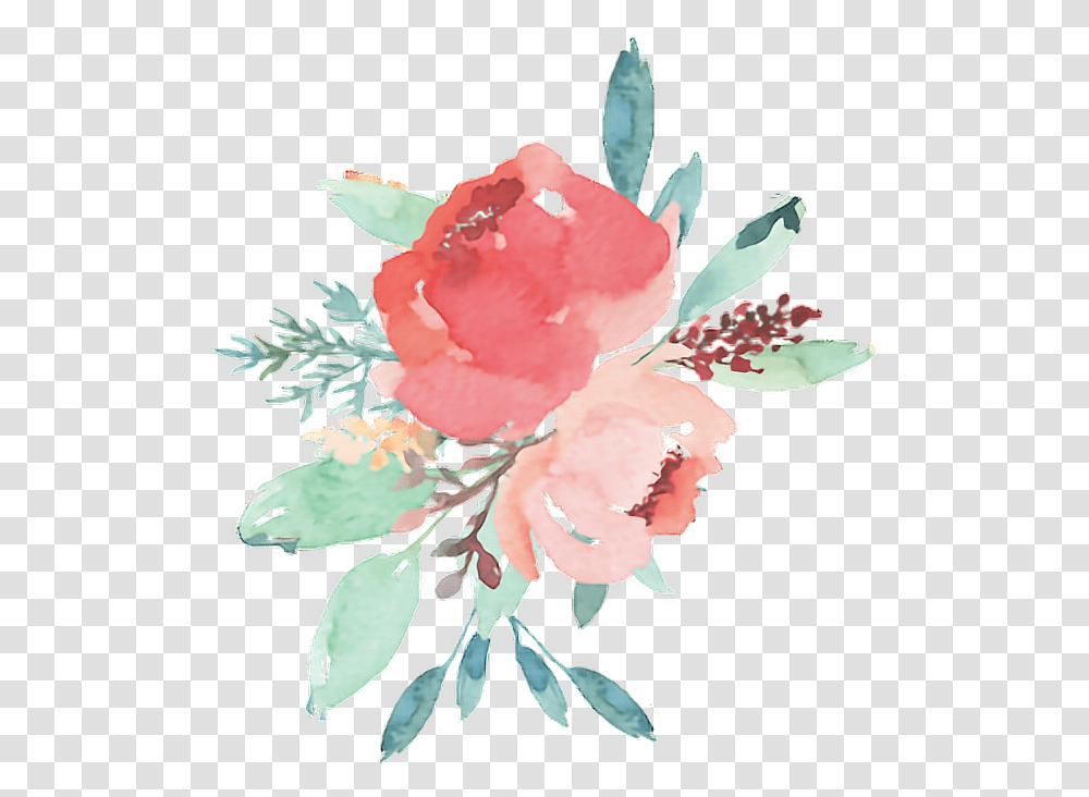 Flowers Pink Watercolor Water Colour Color Artsy Water Paint Flower, Plant, Blossom, Carnation, Rose Transparent Png