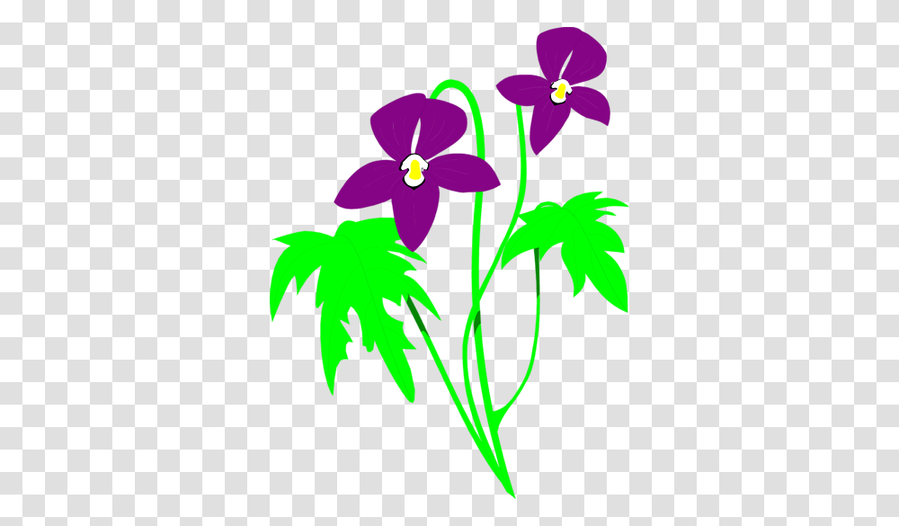 Flowers, Plant, Leaf, Blossom, Iris Transparent Png