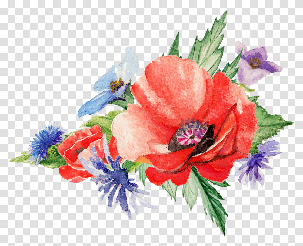 Flowers Poppy Art Painting Transprent Free Watercolor Transparent Png