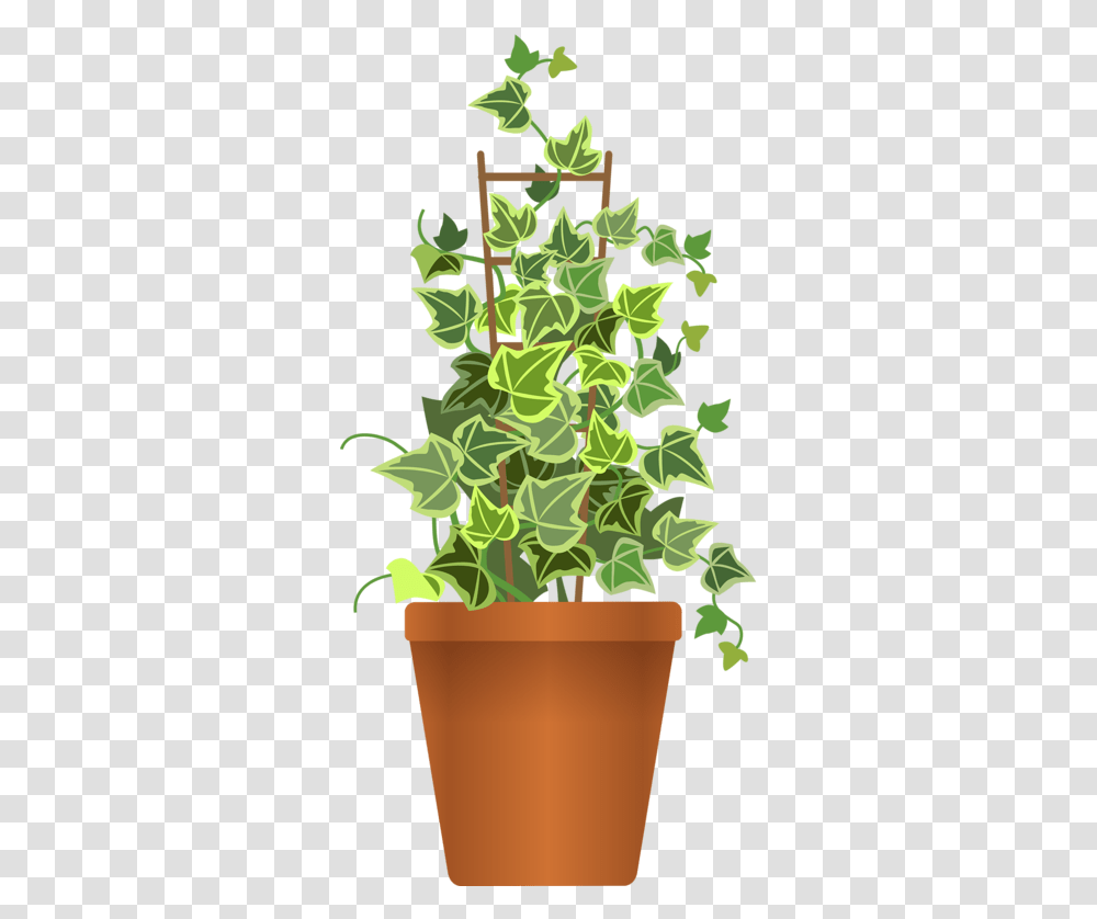 Flowers Pot Vector, Plant, Ivy, Leaf, Vine Transparent Png