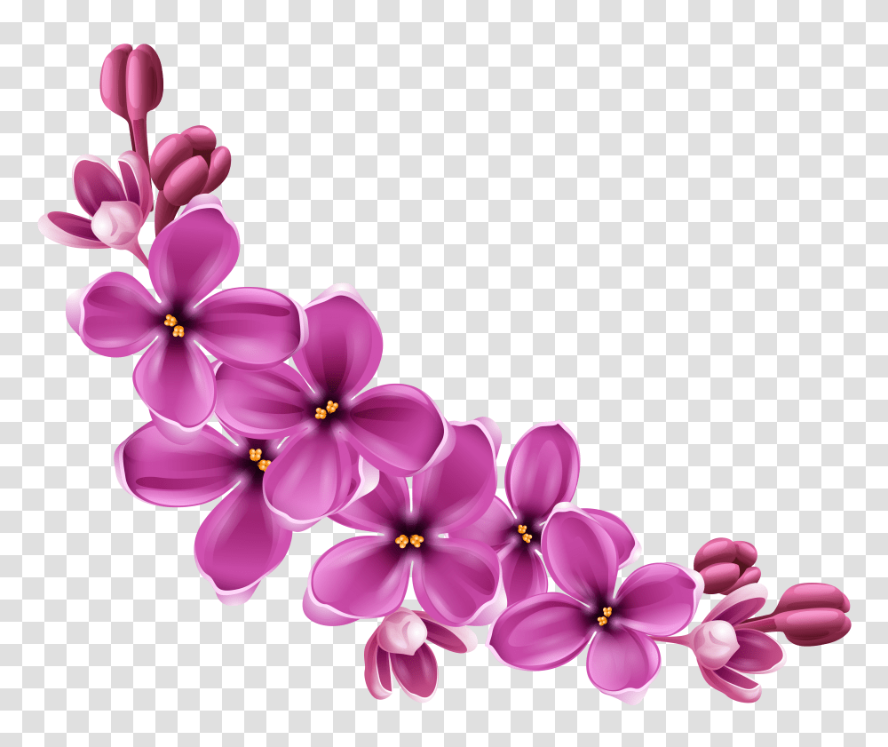 Flowers Purple Curve Flower, Plant, Blossom, Petal, Graphics Transparent Png