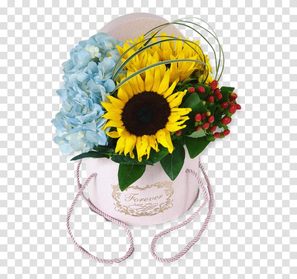 Flowers Rain, Plant, Blossom, Flower Arrangement, Flower Bouquet Transparent Png