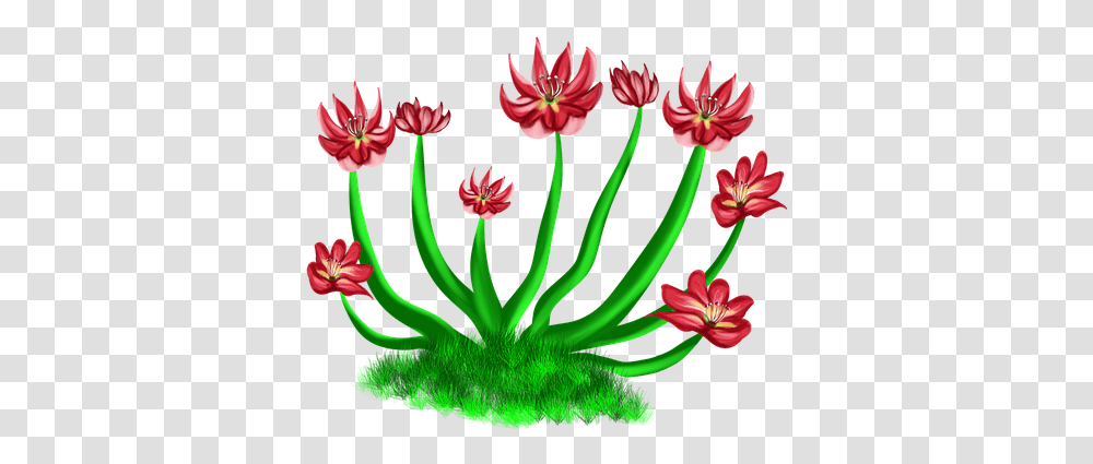 Flowers Red Red Flower Nature Bushes River Levee, Plant, Anther, Geranium, Tree Transparent Png