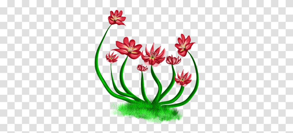 Flowers Red Red Flower Nature Bushes River Levee, Plant, Pattern Transparent Png