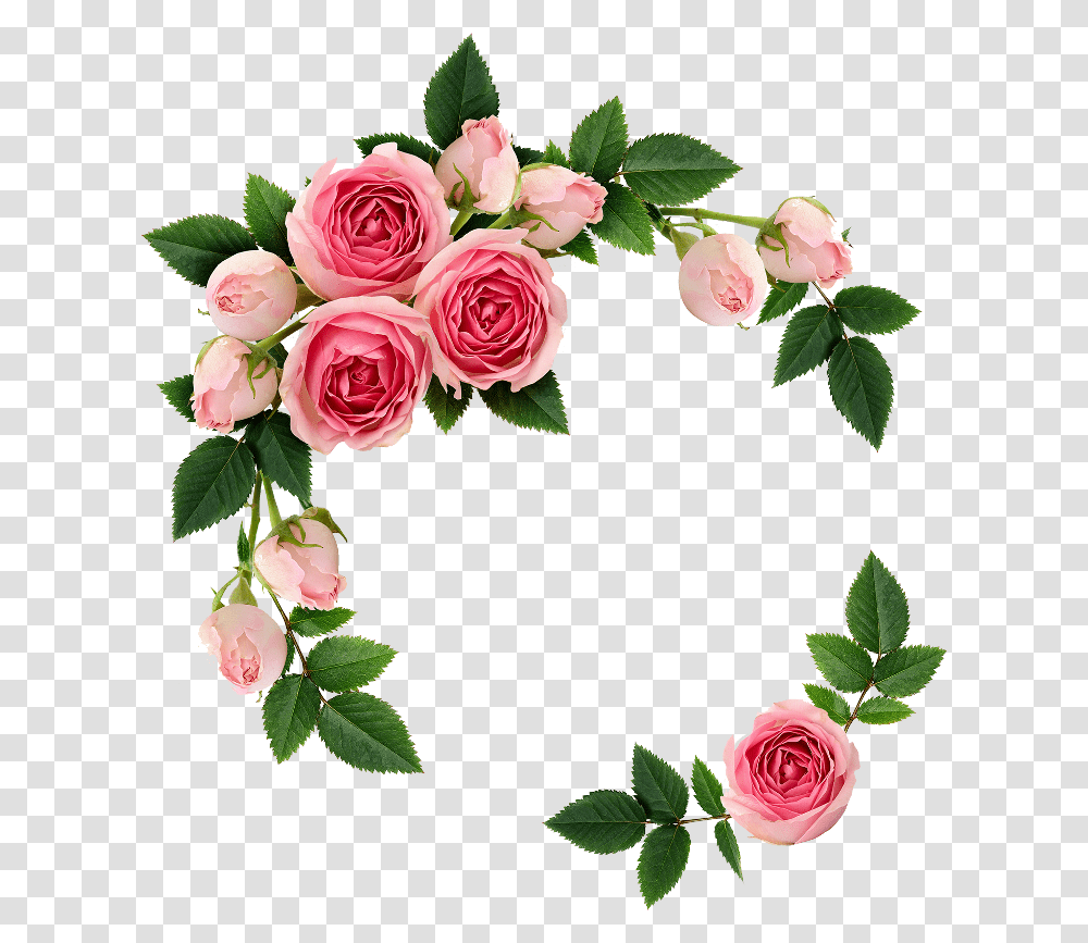 Flowers Ring Elegant Flower Background, Rose, Plant, Blossom, Petal Transparent Png