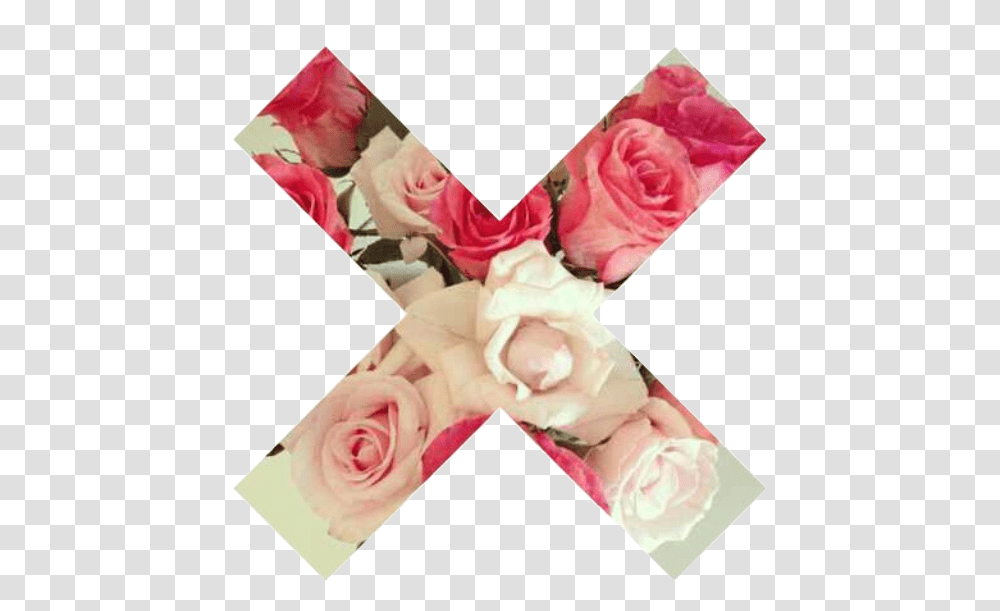 Flowers Rose And X Image Tumblr X, Person, Poster, Advertisement Transparent Png