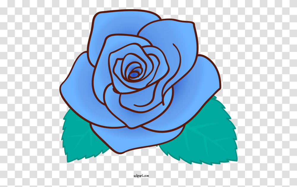 Flowers Rose Blue For Blue Blue Rose Cartoon, Plant, Blossom, Spiral Transparent Png