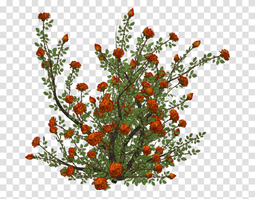 Flowers Rose Bush, Pattern, Ornament, Fractal Transparent Png
