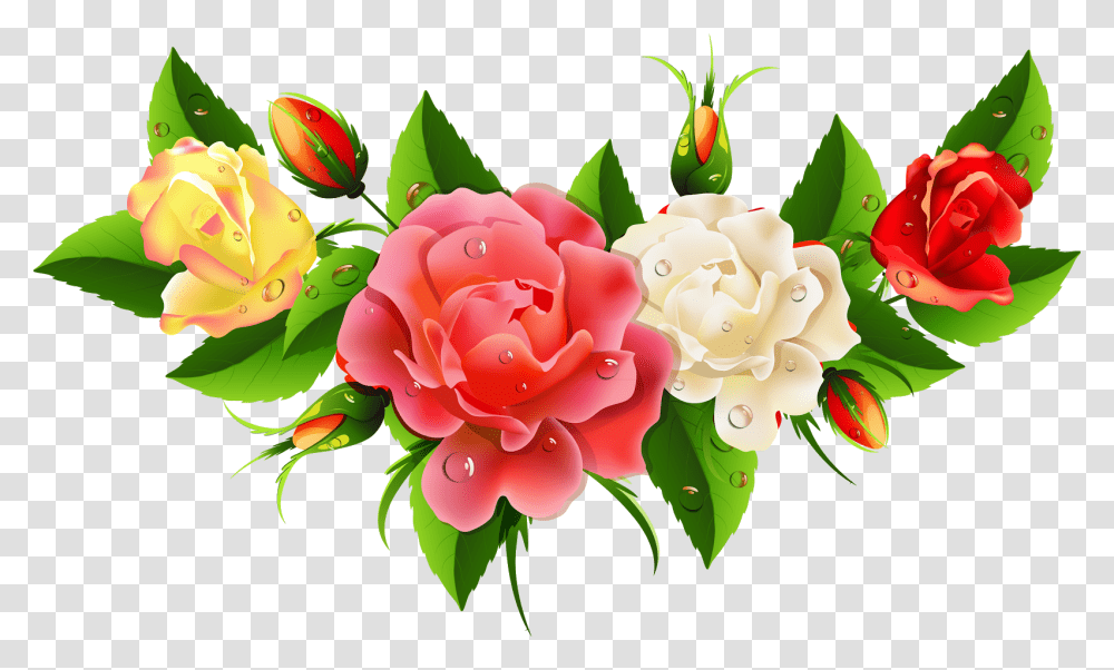 Flowers Rose Clipart Coloring, Plant, Blossom, Peony Transparent Png