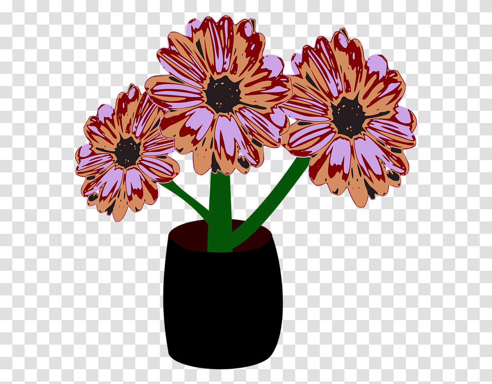 Flowers Roses Black Vase African Daisy, Plant, Blossom, Floral Design, Pattern Transparent Png