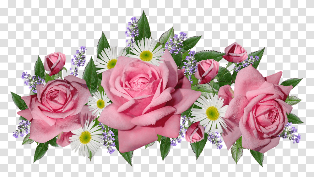 Flowers Roses Daisies Garden Roses, Plant, Blossom, Flower Bouquet, Flower Arrangement Transparent Png