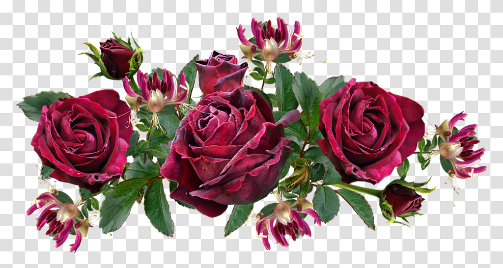 Flowers Roses Red Free Image On Pixabay, Plant, Blossom, Flower Bouquet, Flower Arrangement Transparent Png