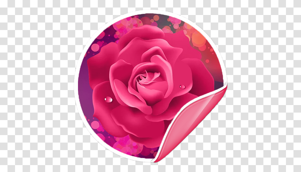 Flowers Roses Stickers For Whatsapp Rose Flower Dp For Whatsapp, Plant, Blossom, Petal, Heart Transparent Png