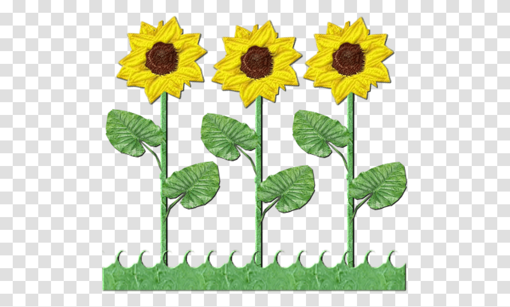 Flowers Row Of Sunflowers Sun Flower Tree Clipart, Plant, Blossom, Daisy, Daisies Transparent Png