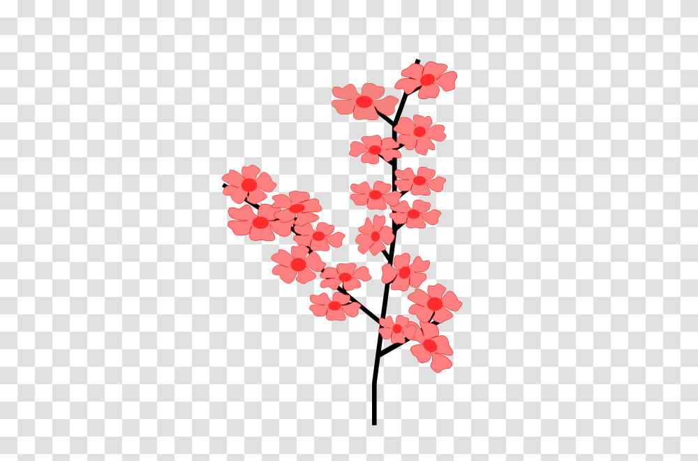 Flowers Sakura Clip Arts For Web, Petal, Plant, Blossom, Geranium Transparent Png