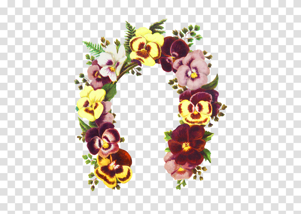 Flowers Shaped As A Horse Shoe Floral Horse Border, Plant, Blossom Transparent Png