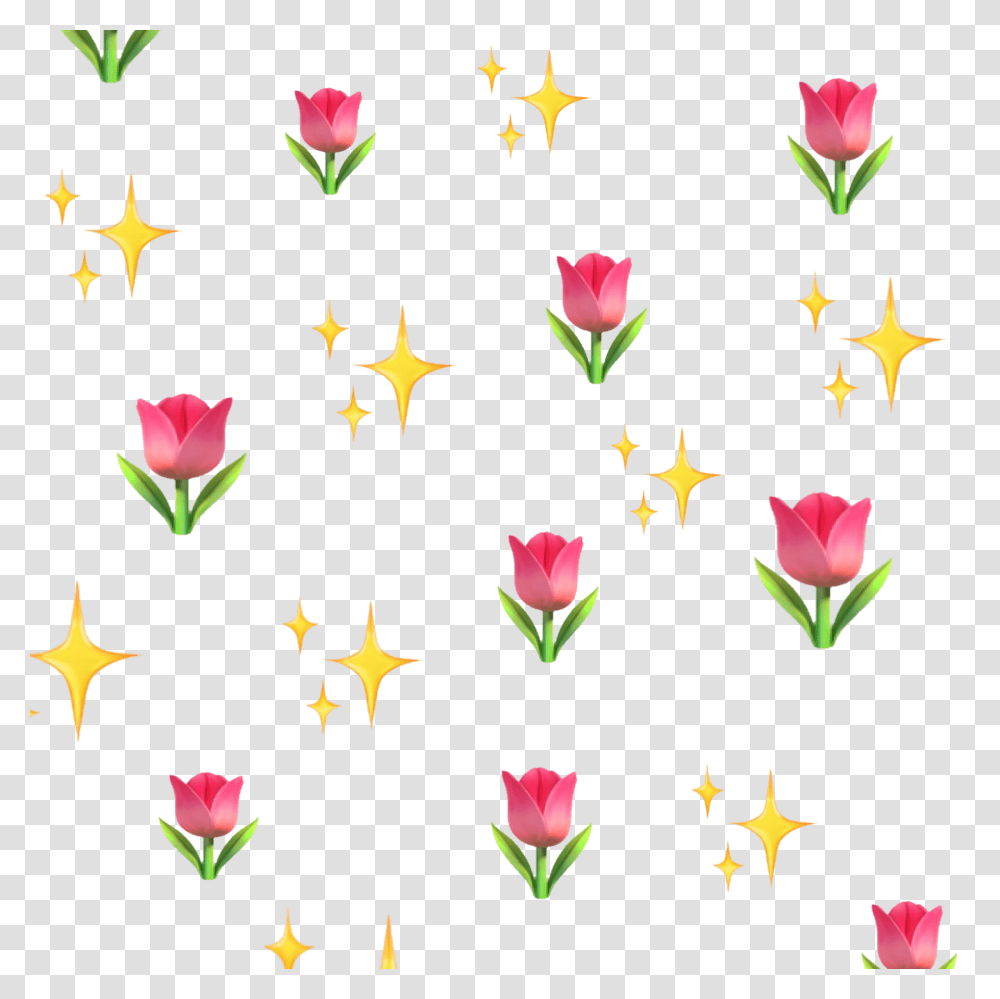 Flowers Sparkle Shine Emojis Yellow Pink Explore, Star Symbol, Pattern Transparent Png