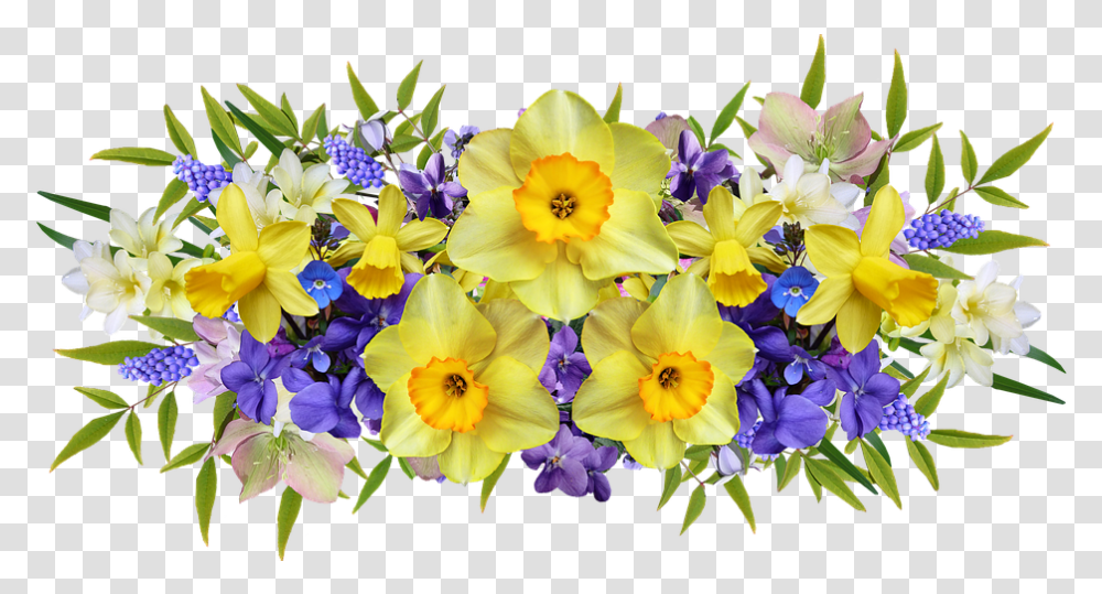 Flowers Spring Daffodils Violets And Daffodils, Plant, Blossom, Iris, Geranium Transparent Png
