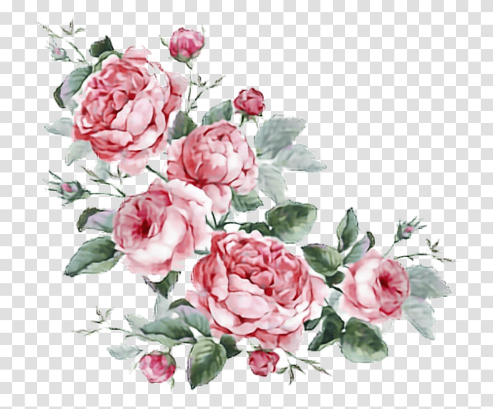 Flowers Stickers Aesthetic Cute Filter Aesthetic Flowers, Plant, Blossom, Rose, Peony Transparent Png