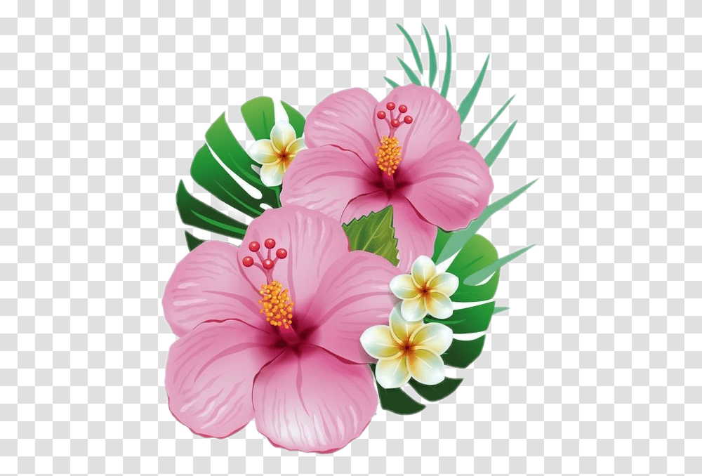 Flowers Summer Nice Holiday Jolie Rose Flores De Moana, Hibiscus, Plant, Blossom, Anther Transparent Png