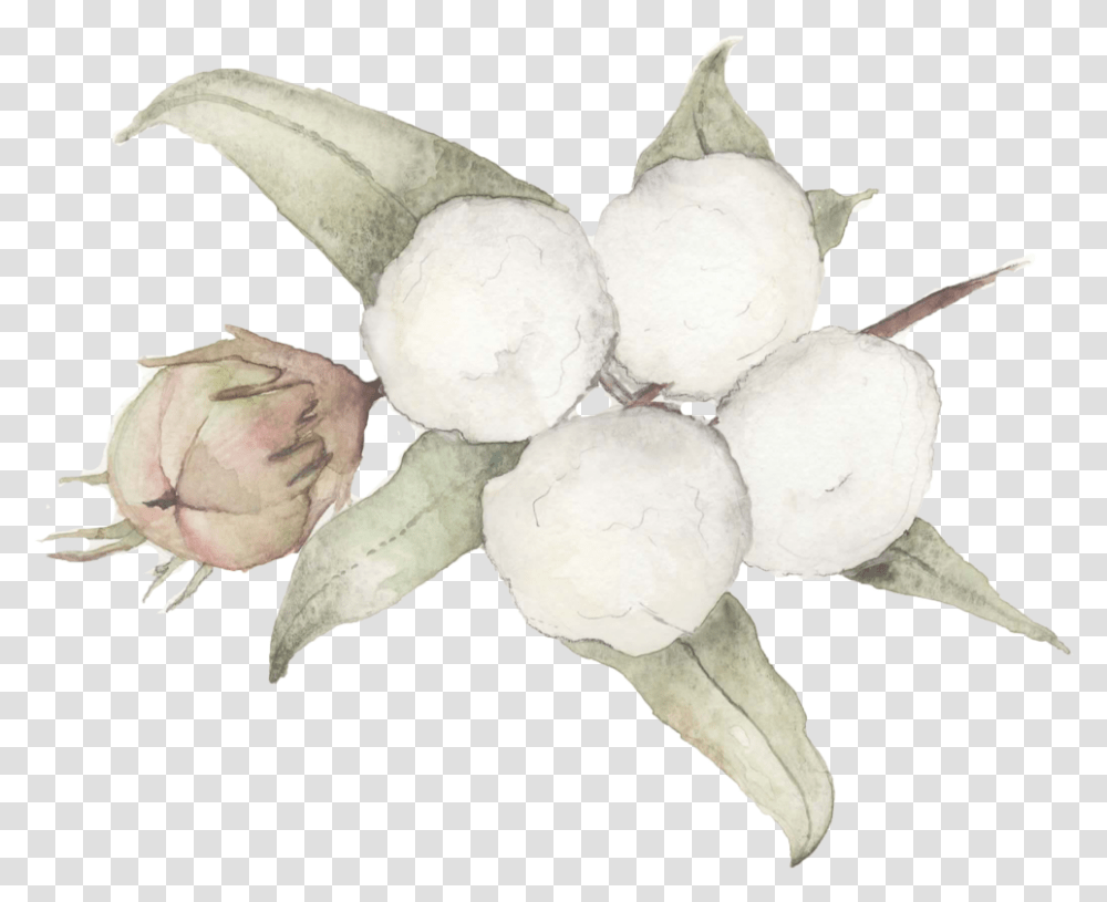 Flowers - Wildblumen Ink Cotton, Snowman, Winter, Outdoors, Nature Transparent Png