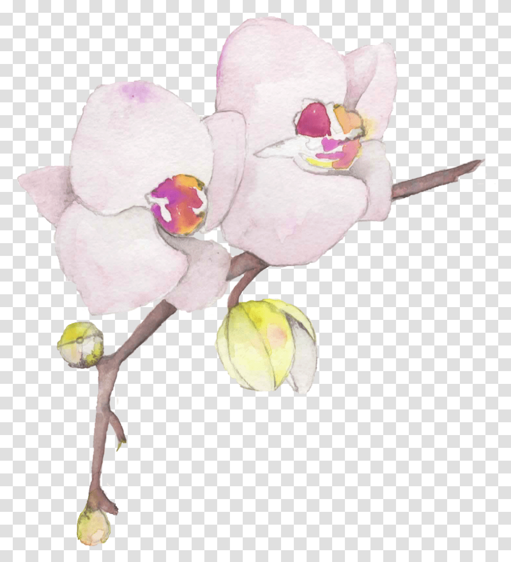 Flowers - Wildblumen Ink Orchid, Plant, Blossom Transparent Png