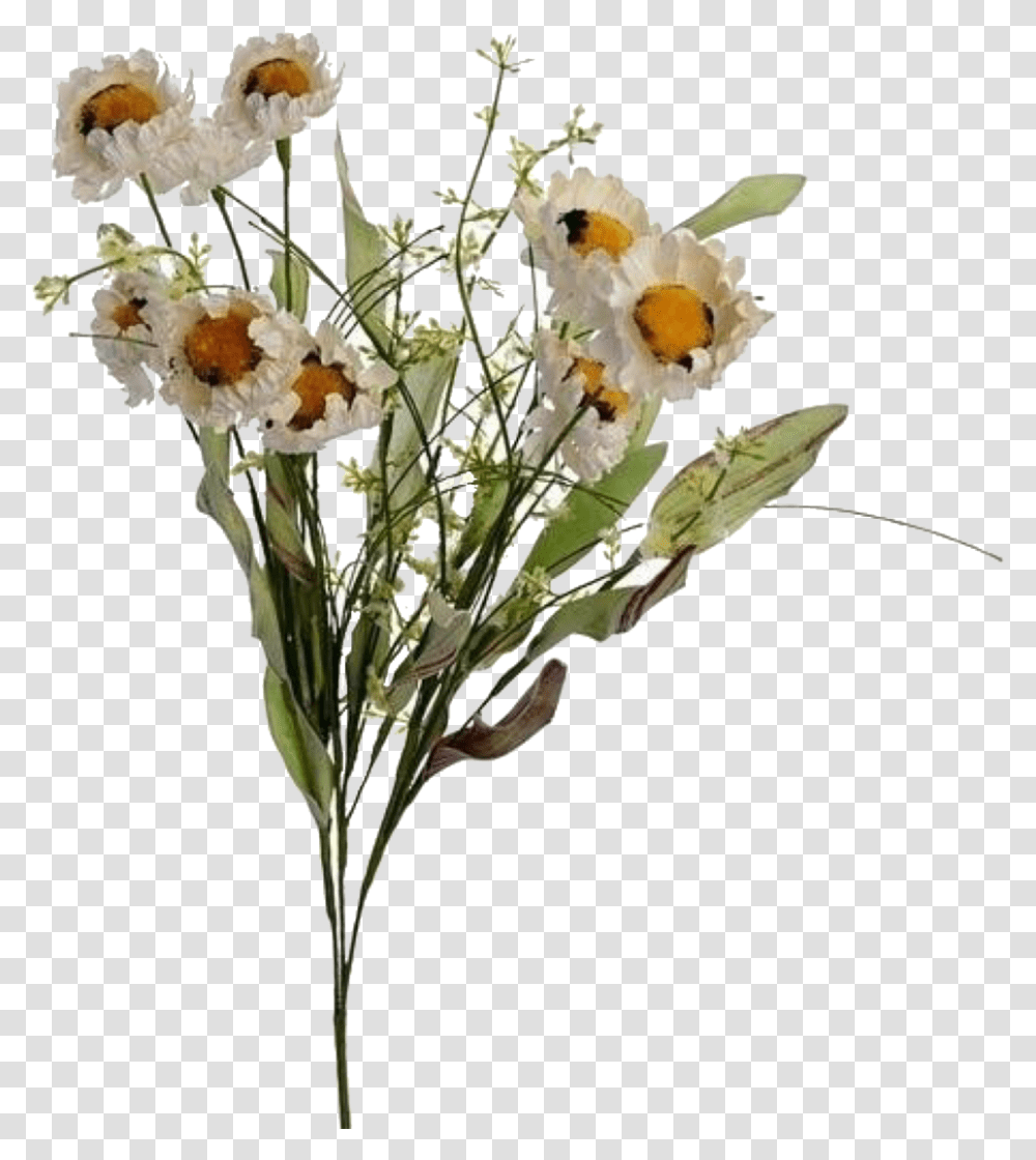 Flowers Uploaded Flower Aesthetic Plant, Blossom, Flower Arrangement, Flower Bouquet Transparent Png