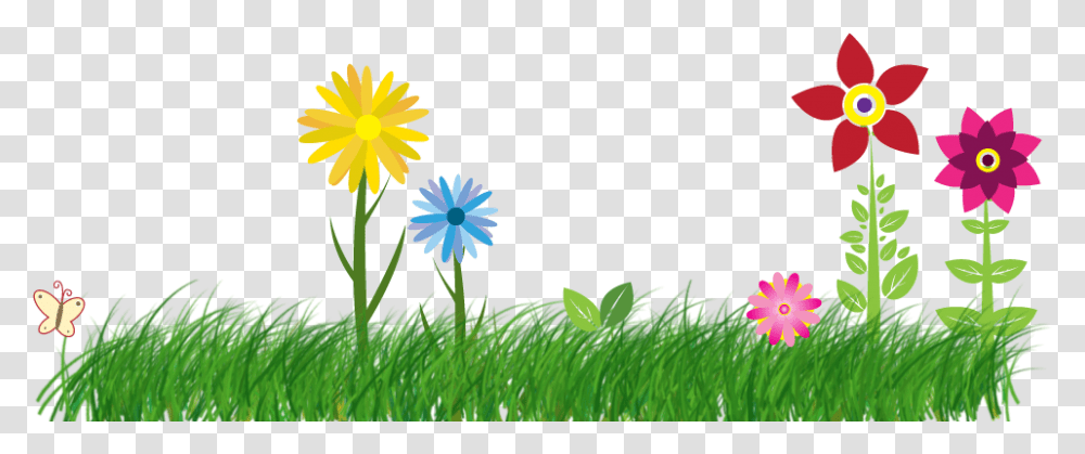 Flowers Vector, Plant, Daisy, Daisies, Blossom Transparent Png