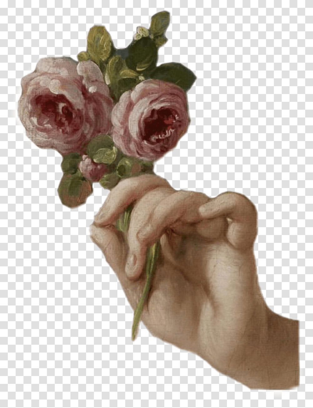 Flowers Vintage Vintagepng Moodboardpng Girl With Roses Francois Boucher, Plant, Blossom, Person, Human Transparent Png